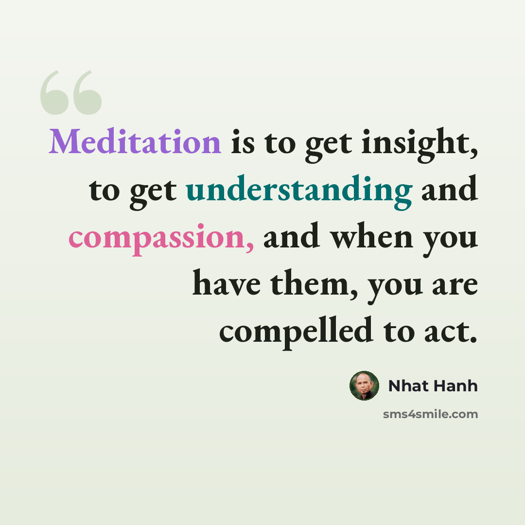 “Meditation is to get insight, to get understanding and compassion, and when you have them, you are compelled to act.” quote by Nhat Hanh
