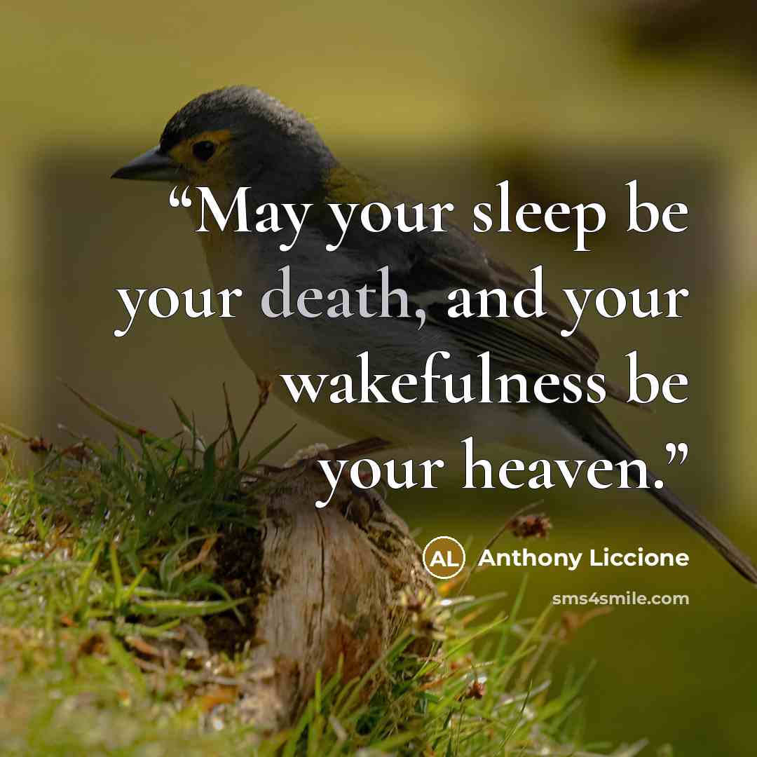 “May your sleep be your death, and your wakefulness be your heaven.” quote by Anthony Liccione