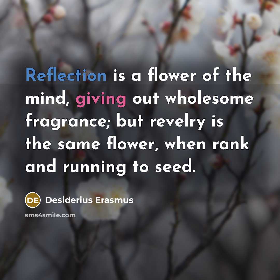 “Reflection is a flower of the mind, giving out wholesome fragrance; but revelry is the same flower, when rank and running to seed.” quote by Desiderius Erasmus