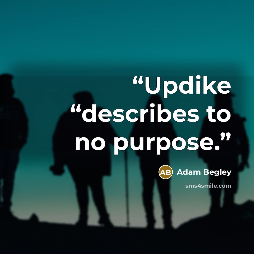 “Updike “describes to no purpose.” quote by Adam Begley