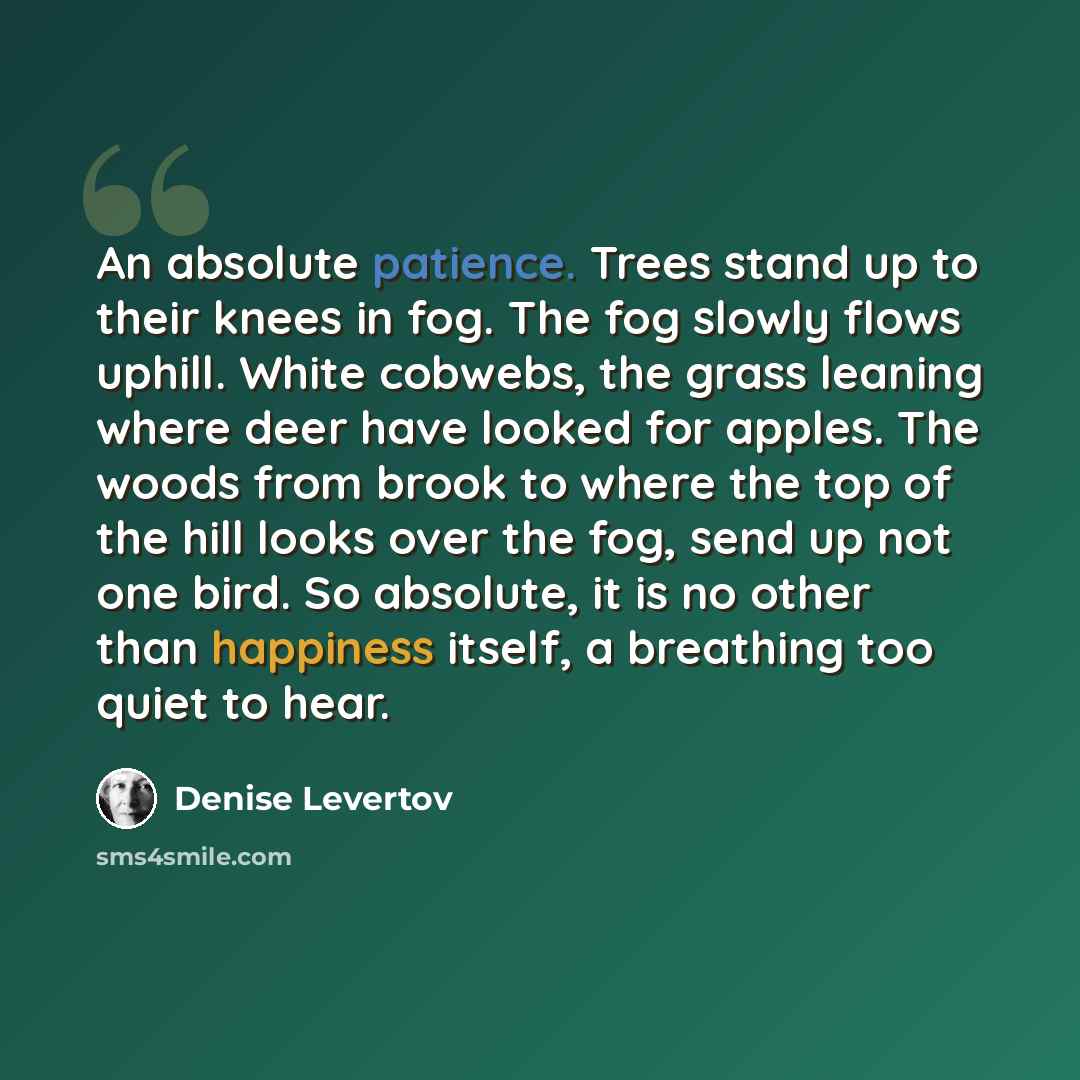 “An absolute patience. Trees stand up to their knees in fog. The fog slowly flows uphill. White cobwebs, the grass leaning where deer have looked for apples. The woods from brook to where the top of the hill looks over the fog, send up not one bird. So absolute, it is no other than happiness…” quote by Denise Levertov