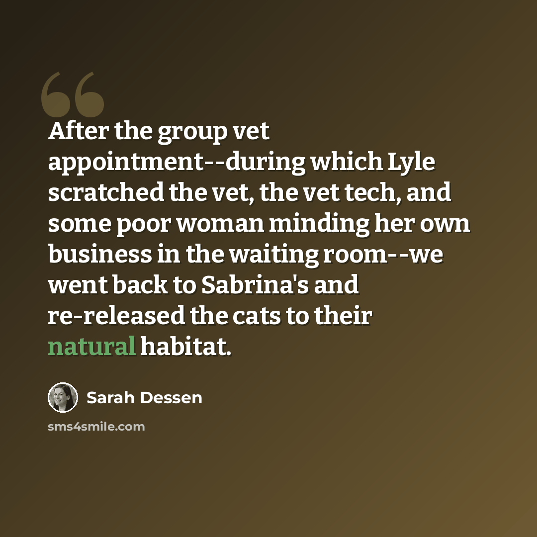 “After the group vet appointment--during which Lyle scratched the vet, the vet tech, and some poor woman minding her own business in the waiting room--we went back to Sabrina's and re-released the cats to their natural habitat.” quote by Sarah Dessen
