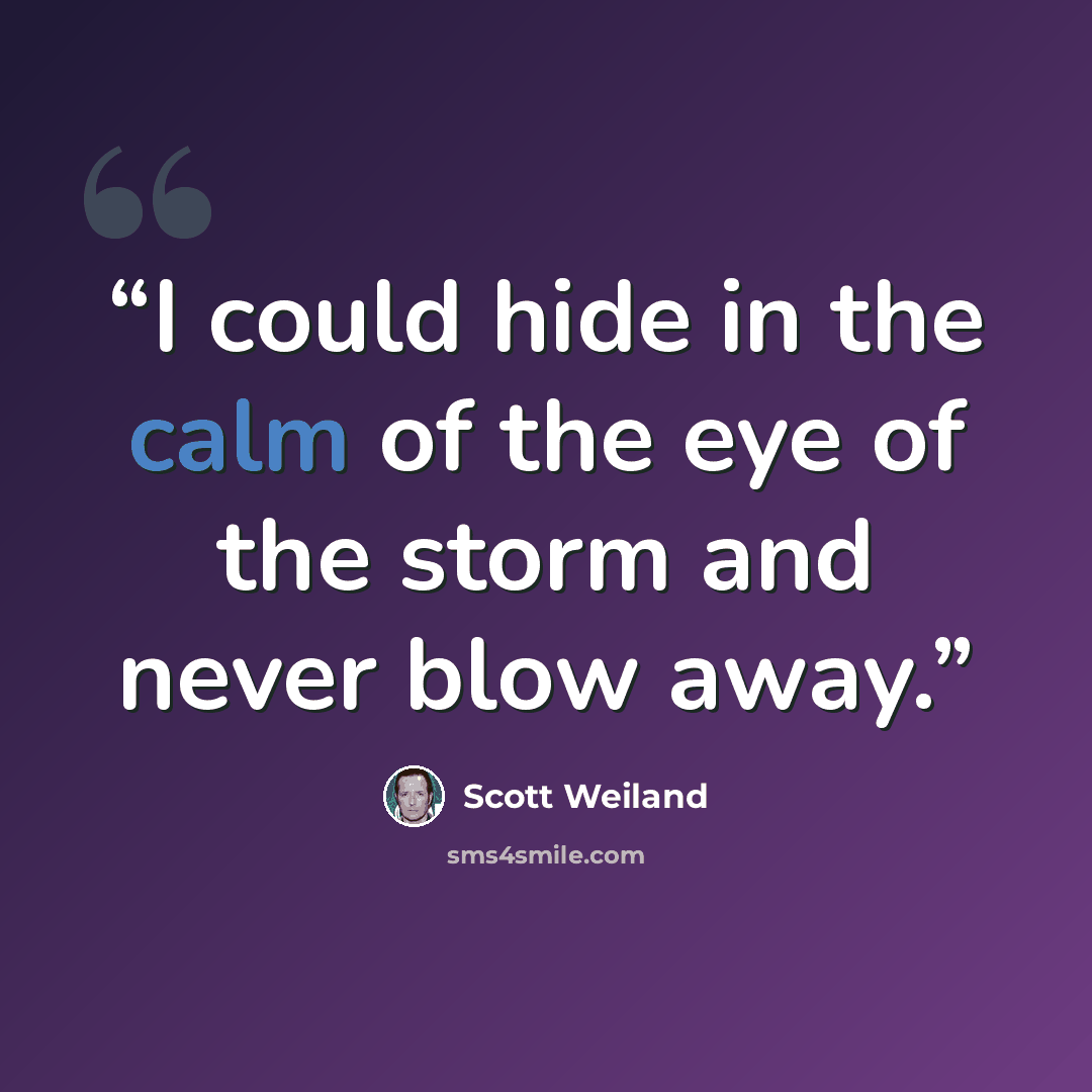 “I could hide in the calm of the eye of the storm and never blow away.” quote by Scott Weiland