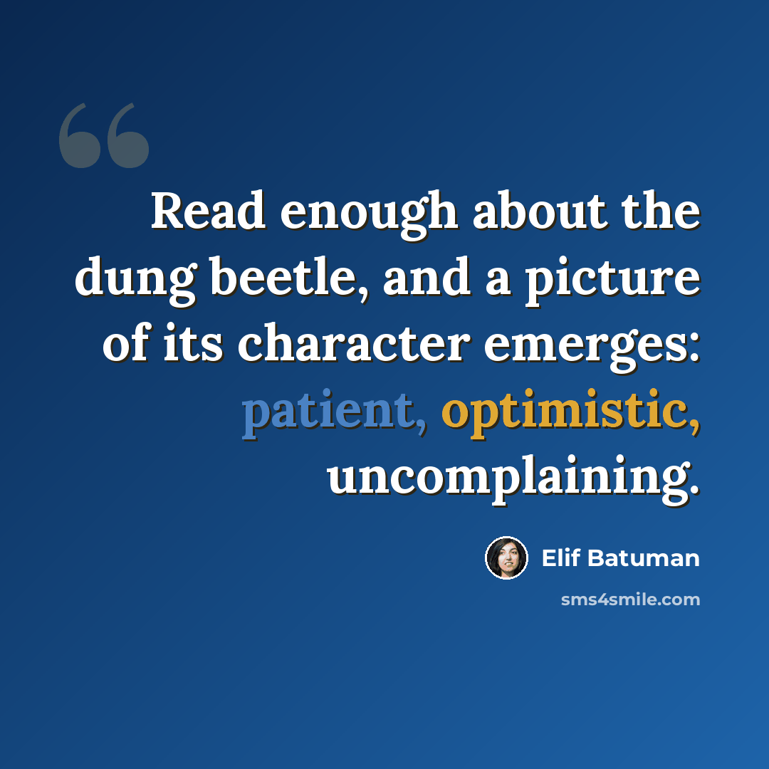 “Read enough about the dung beetle, and a picture of its character emerges: patient, optimistic, uncomplaining.” quote by Elif Batuman