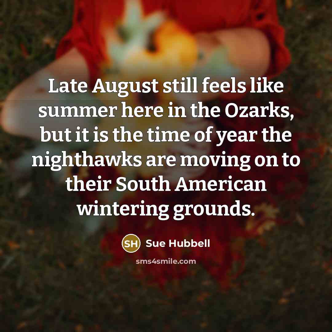 “Late August still feels like summer here in the Ozarks, but it is the time of year the nighthawks are moving on to their South American wintering grounds.” quote by Sue Hubbell