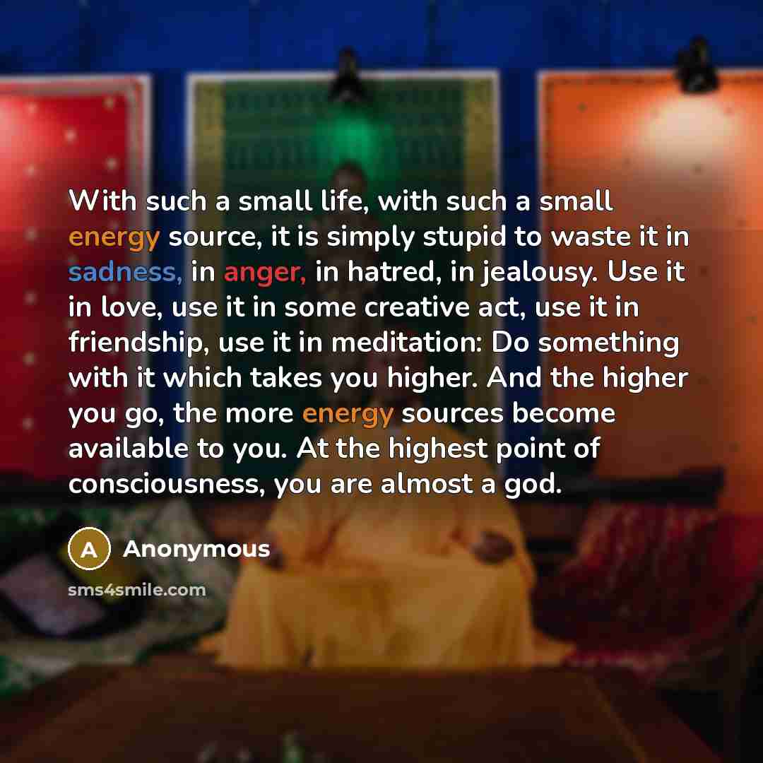 “With such a small life, with such a small energy source, it is simply stupid to waste it in sadness, in anger, in hatred, in jealousy. Use it in love, use it in some creative act, use it in friendship, use it in meditation: Do something with it which takes you higher. And the higher you go, the…” quote by Anonymous