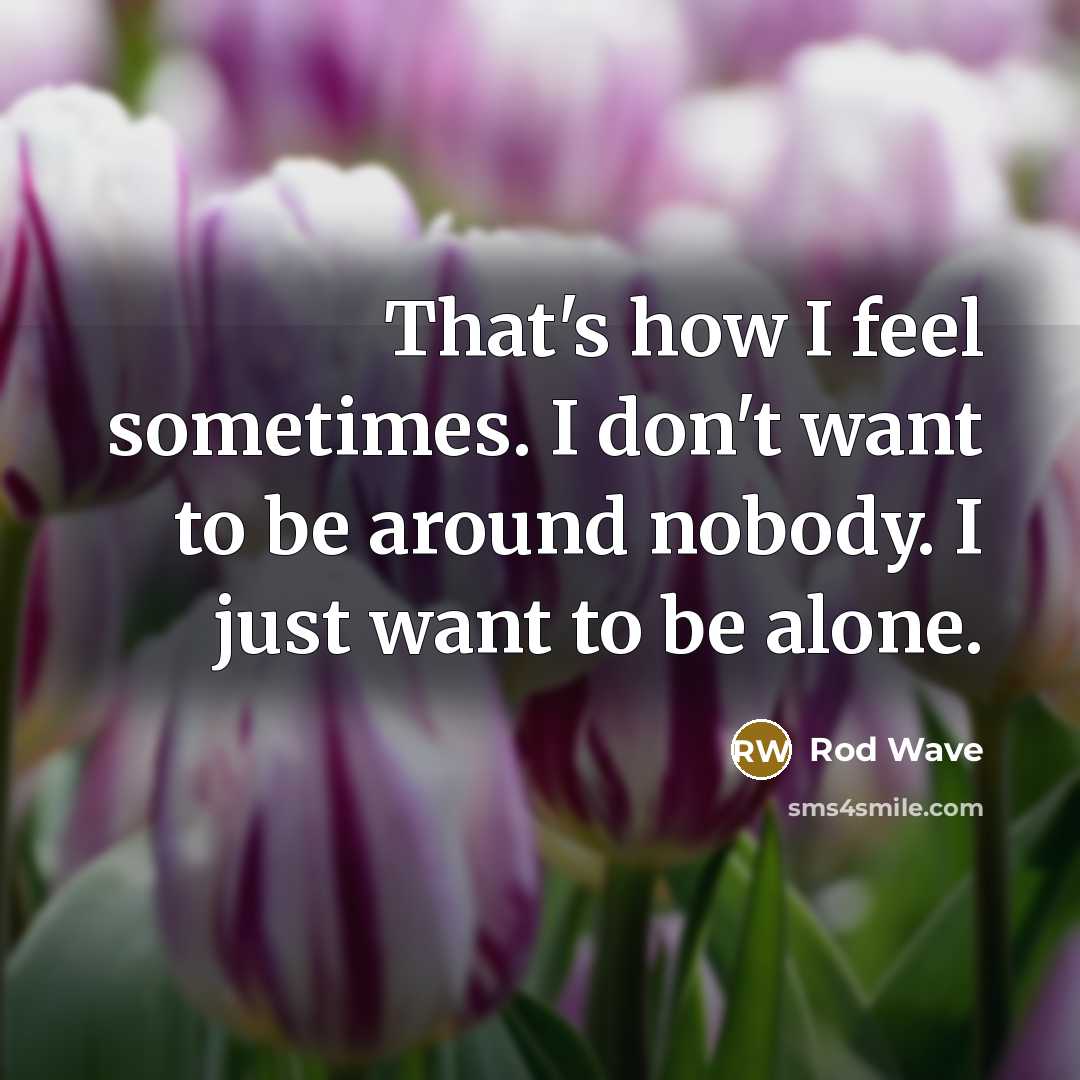 “That's how I feel sometimes. I don't want to be around nobody. I just want to be alone.” quote by Rod Wave