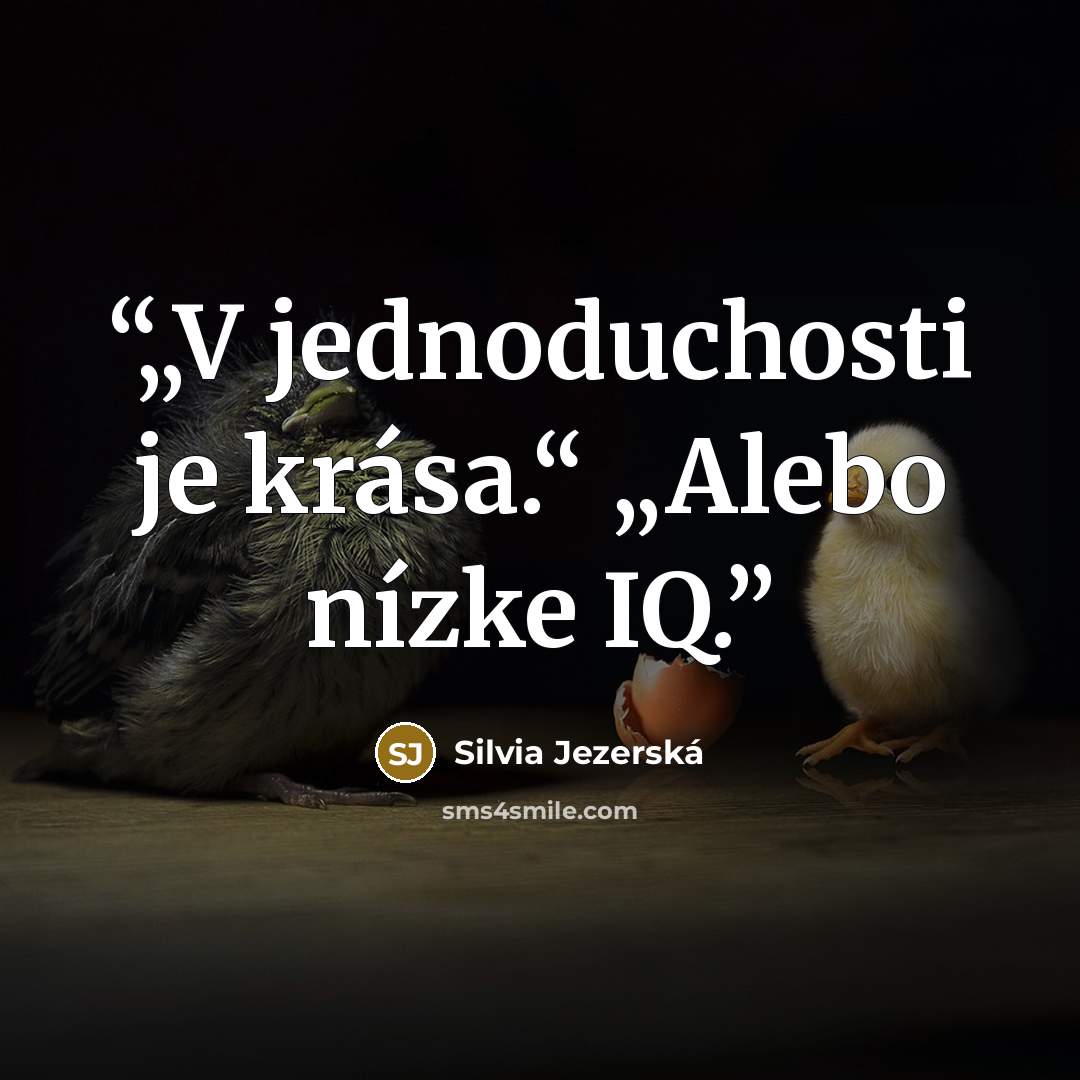 “„V jednoduchosti je krása.“ „Alebo nízke IQ.” quote by Silvia Jezerská