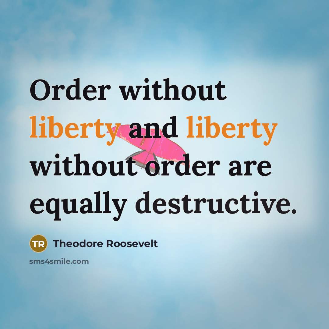 “Order without liberty and liberty without order are equally destructive.” quote by Theodore Roosevelt