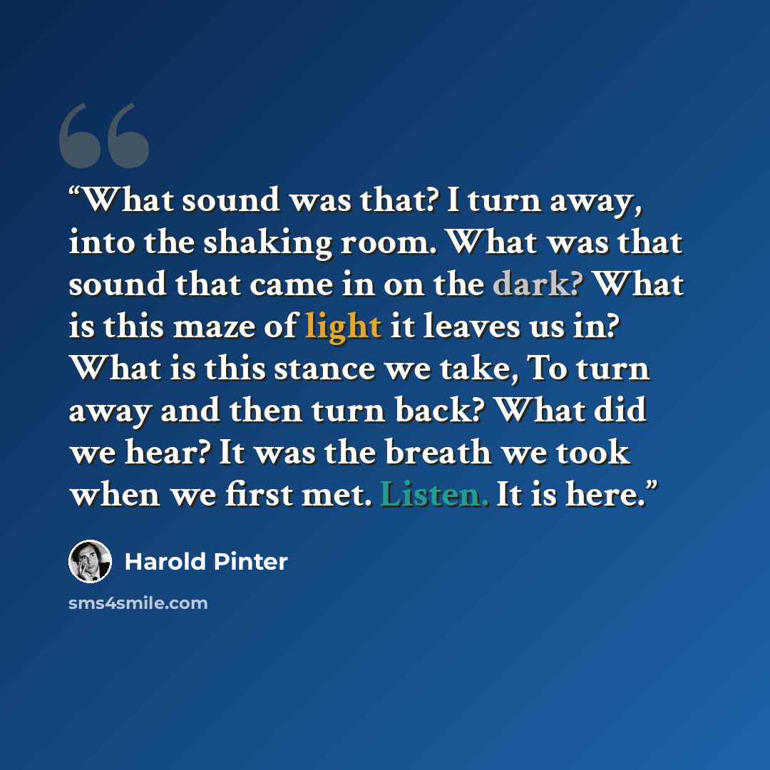 “What sound was that? I turn away, into the shaking room. What was that sound that came in on the dark? What is this maze of light it leaves us in? What is this stance we take, To turn away and then turn back? What did we hear? It was the breath we took when we first met. Listen. It is here.” quote by Harold Pinter