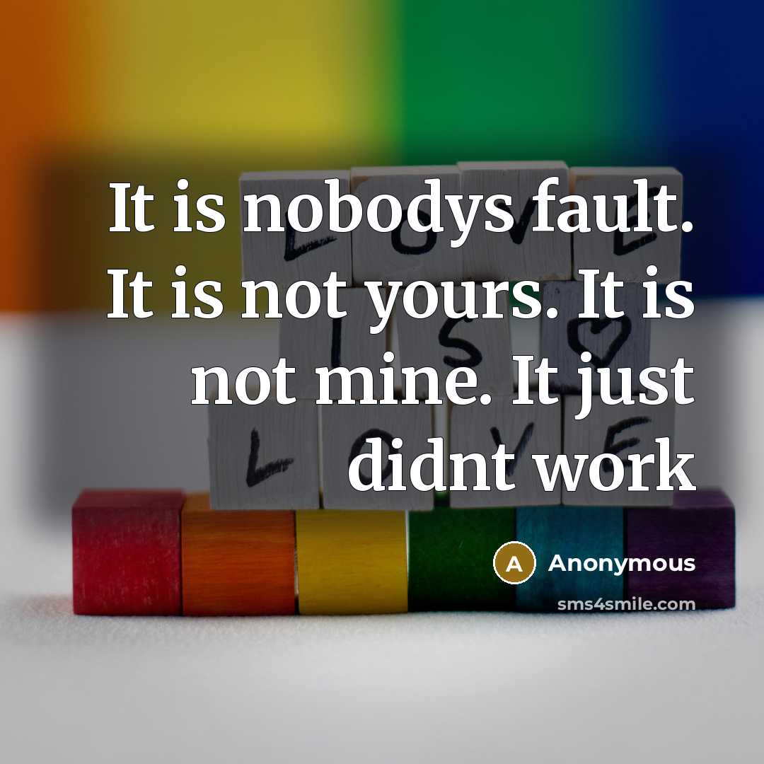 “It is nobodys fault. It is not yours. It is not mine. It just didnt work” quote by Anonymous