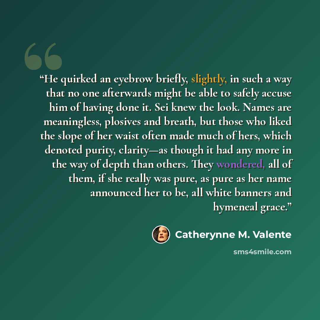 “He quirked an eyebrow briefly, slightly, in such a way that no one afterwards might be able to safely accuse him of having done it. Sei knew the look. Names are meaningless, plosives and breath, but those who liked the slope of her waist often made much of hers, which denoted purity, clarity—as…” quote by Catherynne M. Valente