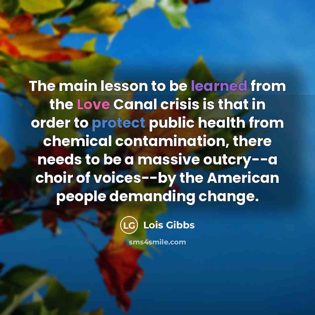 “The main lesson to be learned from the Love Canal crisis is that in order to protect public health from chemical contamination, there needs to be a massive outcry--a choir of voices--by the American people demanding change.” quote by Lois Gibbs