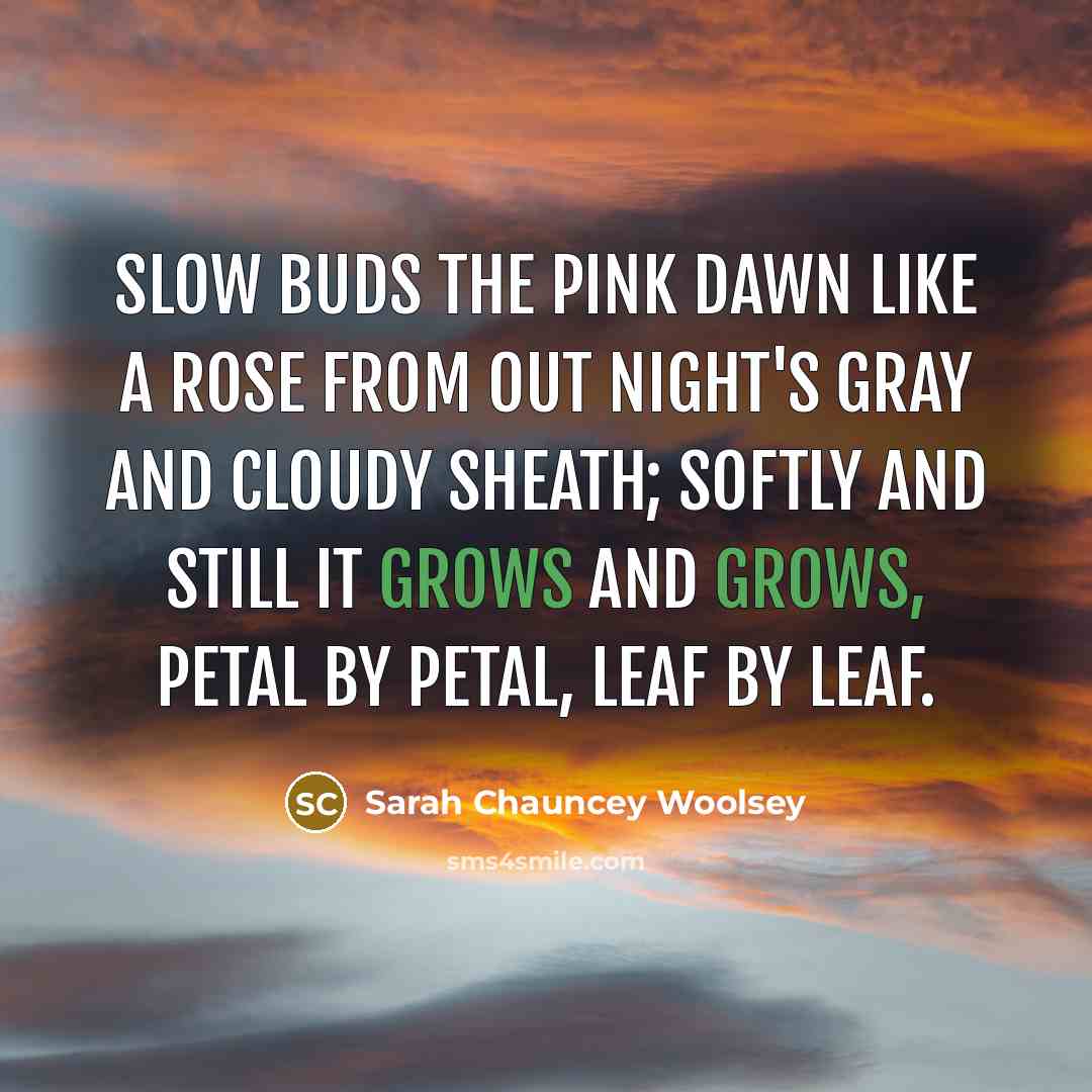 “Slow buds the pink dawn like a rose From out night's gray and cloudy sheath; Softly and still it grows and grows, Petal by petal, leaf by leaf.” quote by Sarah Chauncey Woolsey