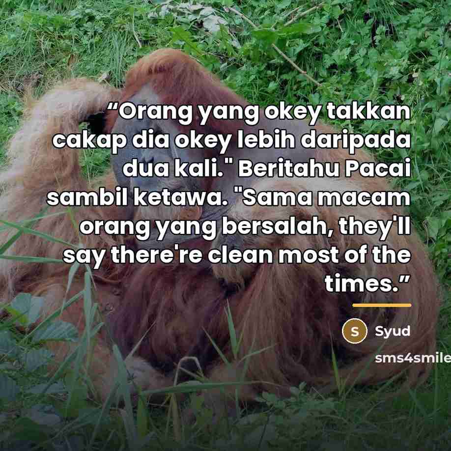 “Orang yang okey takkan cakap dia okey lebih daripada dua kali." Beritahu Pacai sambil ketawa. "Sama macam orang yang bersalah, they'll say there're clean most of the times.” quote by Syud
