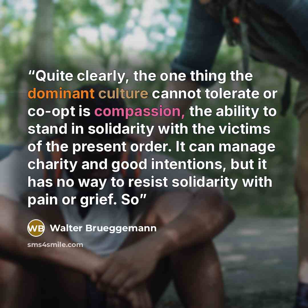 “Quite clearly, the one thing the dominant culture cannot tolerate or co-opt is compassion, the ability to stand in solidarity with the victims of the present order. It can manage charity and good intentions, but it has no way to resist solidarity with pain or grief. So” quote by Walter Brueggemann
