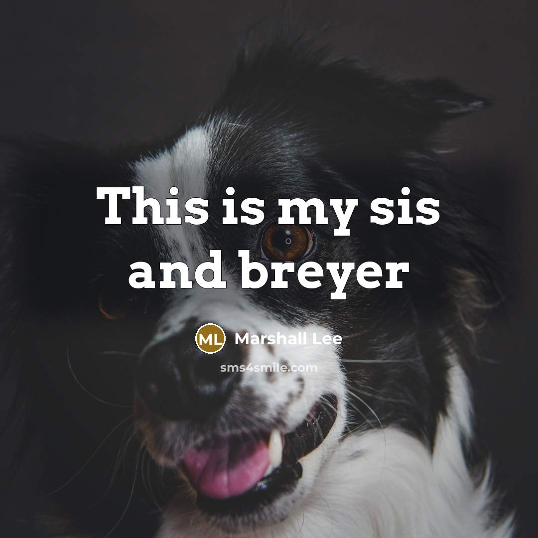 “This is my sis and breyer” quote by Marshall Lee