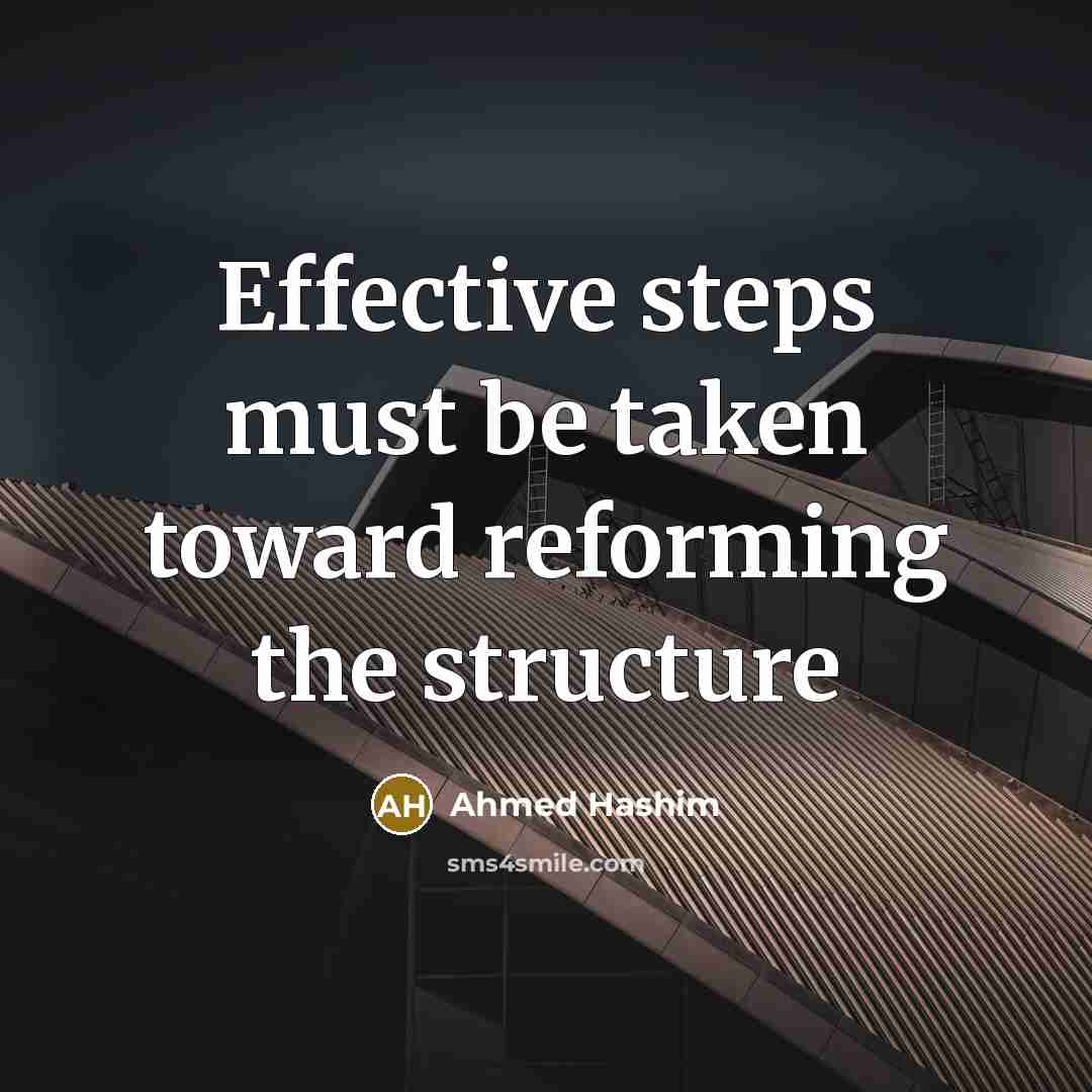“Effective steps must be taken toward reforming the structure” quote by Ahmed Hashim