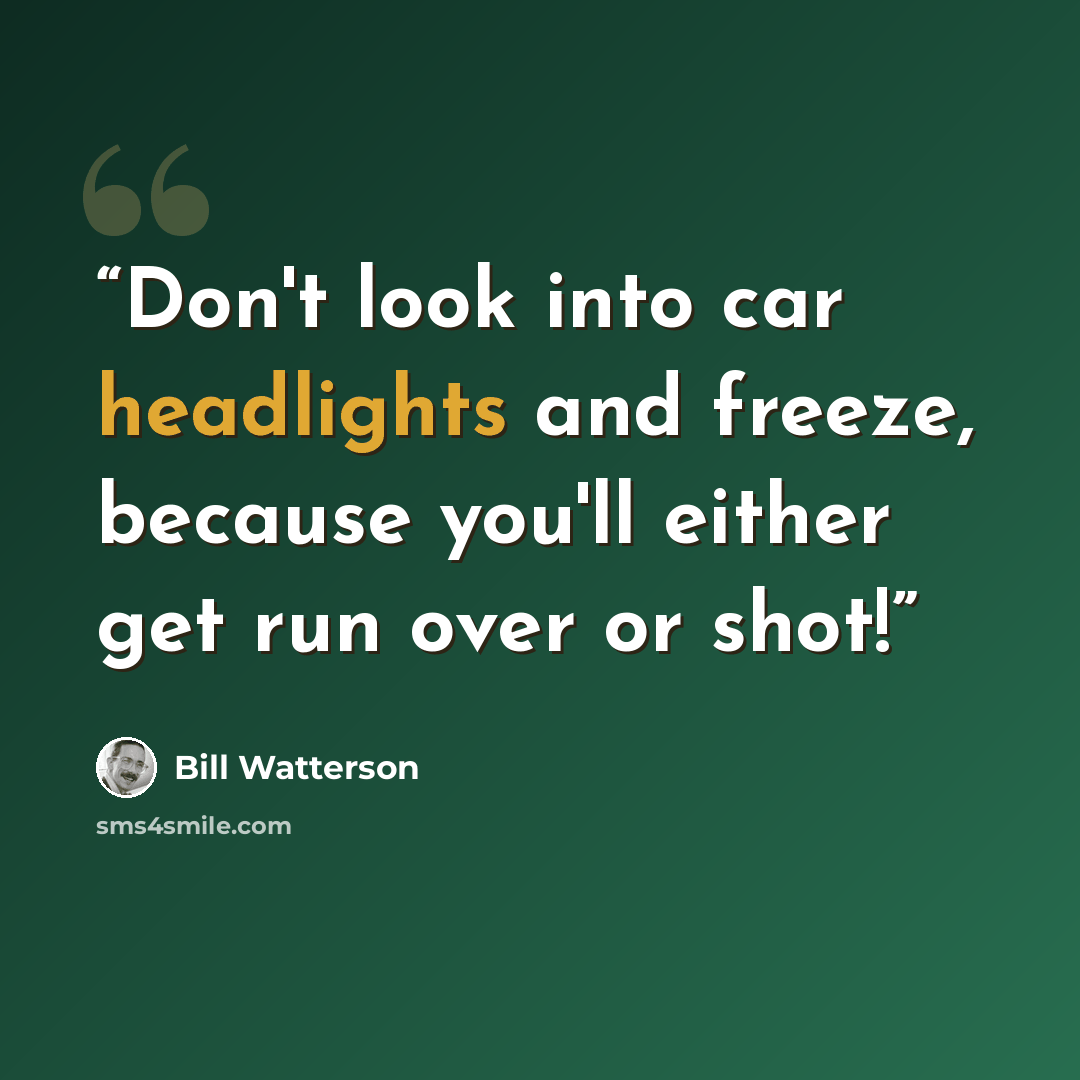 “Don't look into car headlights and freeze, because you'll either get run over or shot!” quote by Bill Watterson