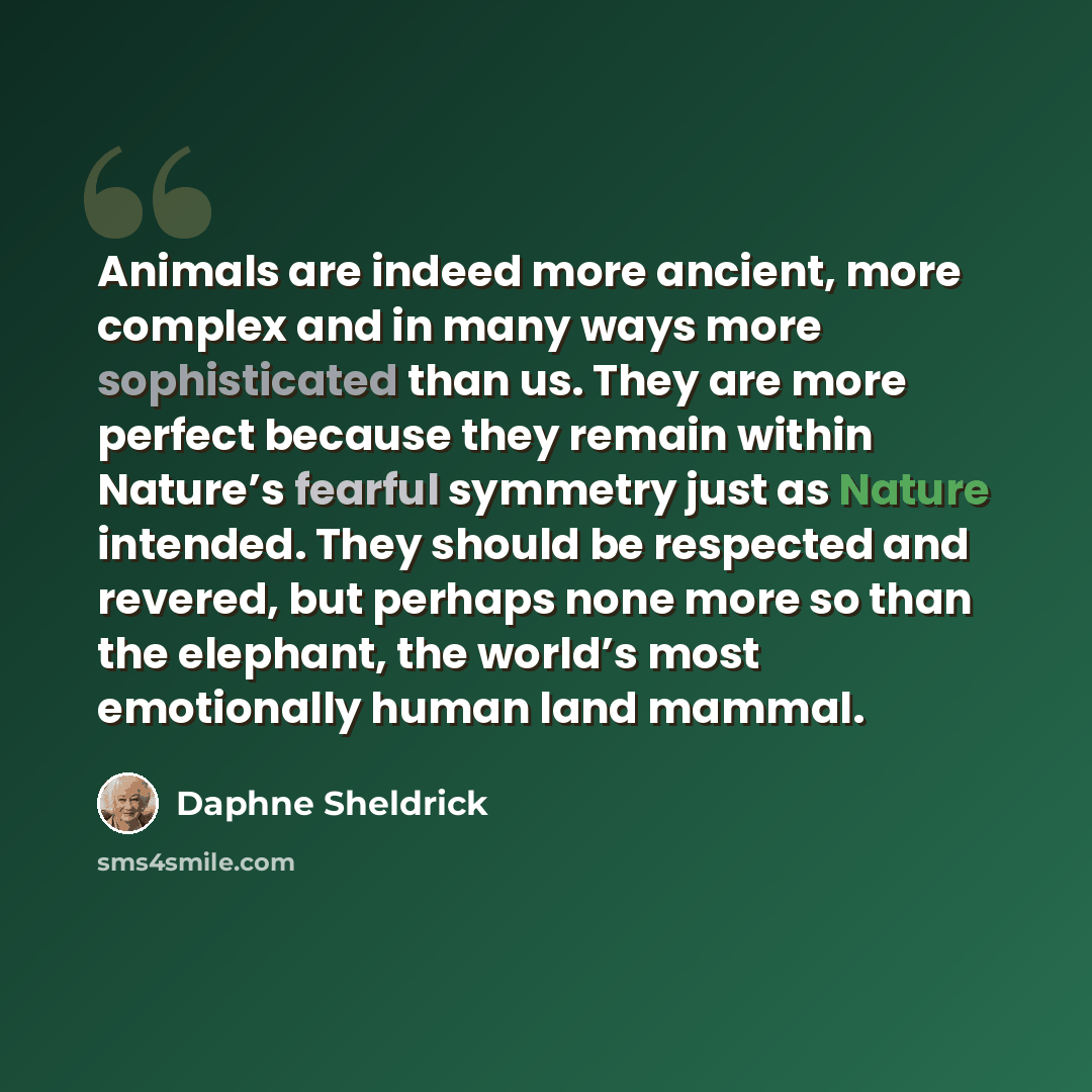 “Animals are indeed more ancient, more complex and in many ways more sophisticated than us. They are more perfect because they remain within Nature’s fearful symmetry just as Nature intended. They should be respected and revered, but perhaps none more so than the elephant, the world’s most…” quote by Daphne Sheldrick