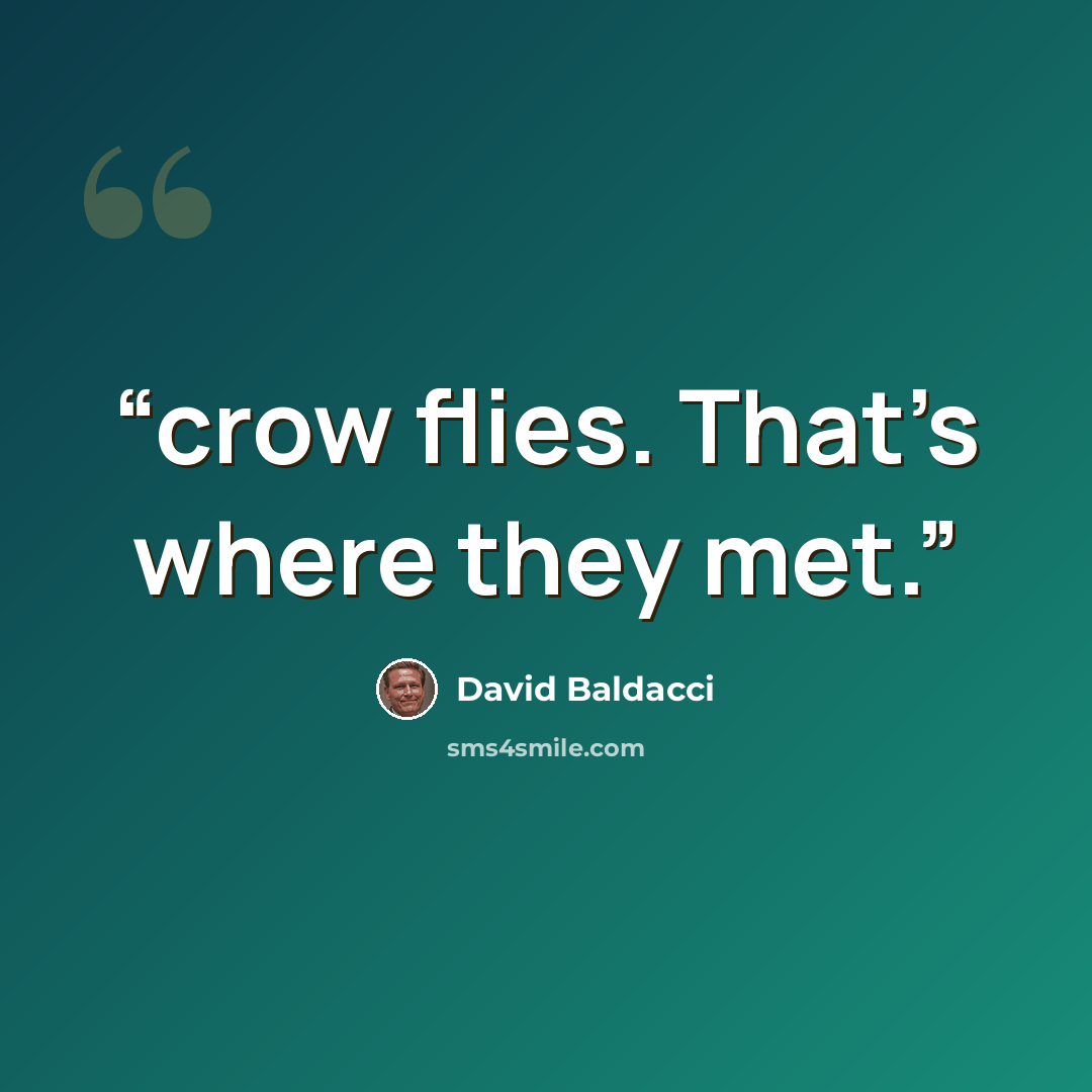 “crow flies. That’s where they met.” quote by David Baldacci