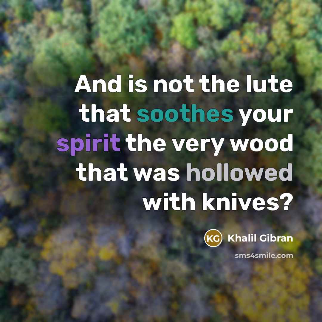 “And is not the lute that soothes your spirit the very wood that was hollowed with knives?” quote by Khalil Gibran