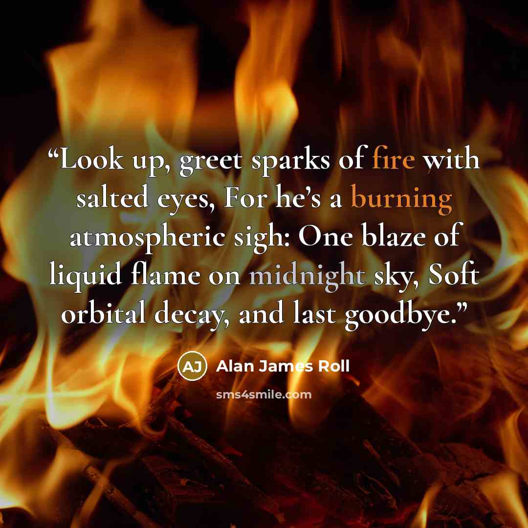 “Look up, greet sparks of fire with salted eyes, For he’s a burning atmospheric sigh: One blaze of liquid flame on midnight sky, Soft orbital decay, and last goodbye.” quote by Alan James Roll