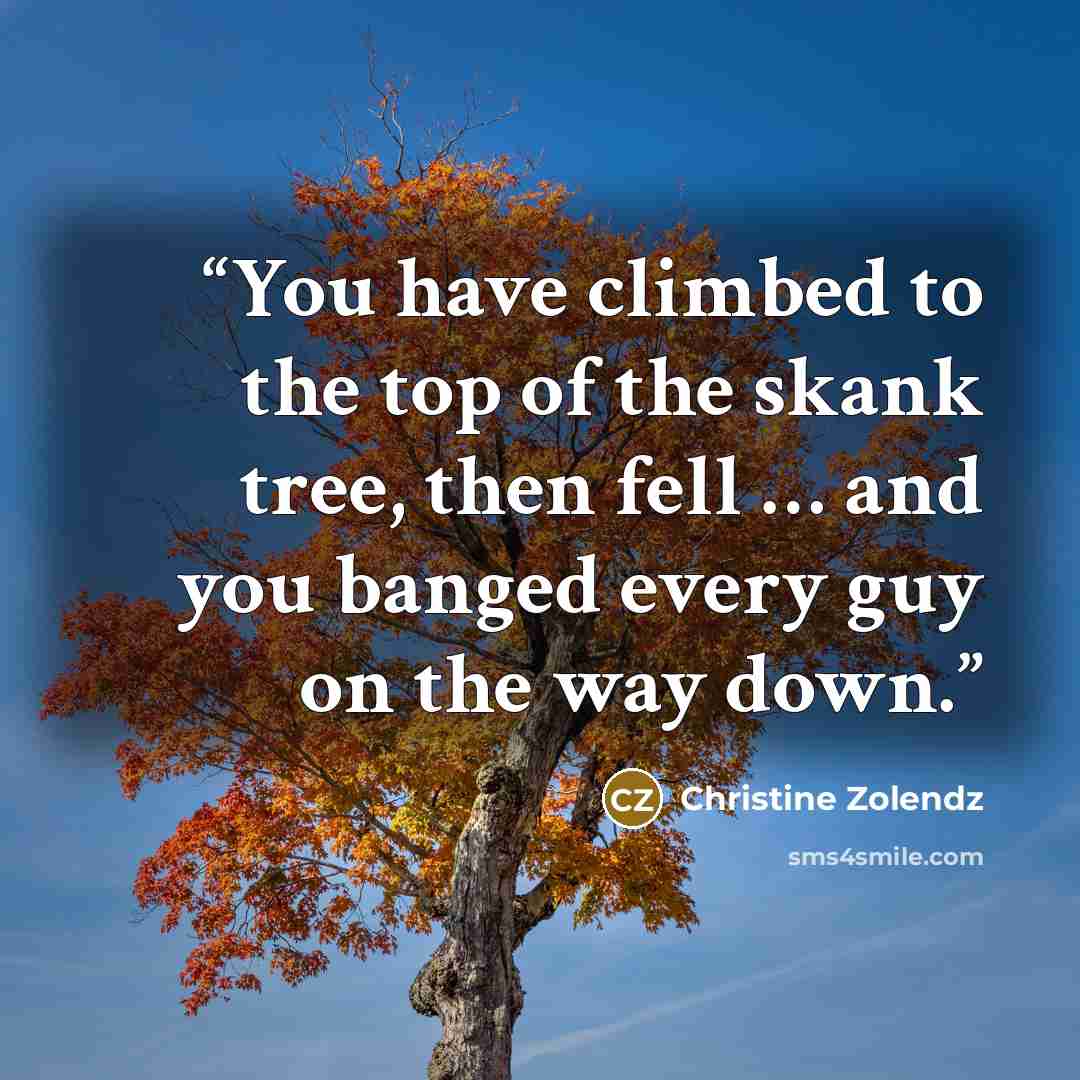 “You have climbed to the top of the skank tree, then fell … and you banged every guy on the way down.” quote by Christine Zolendz