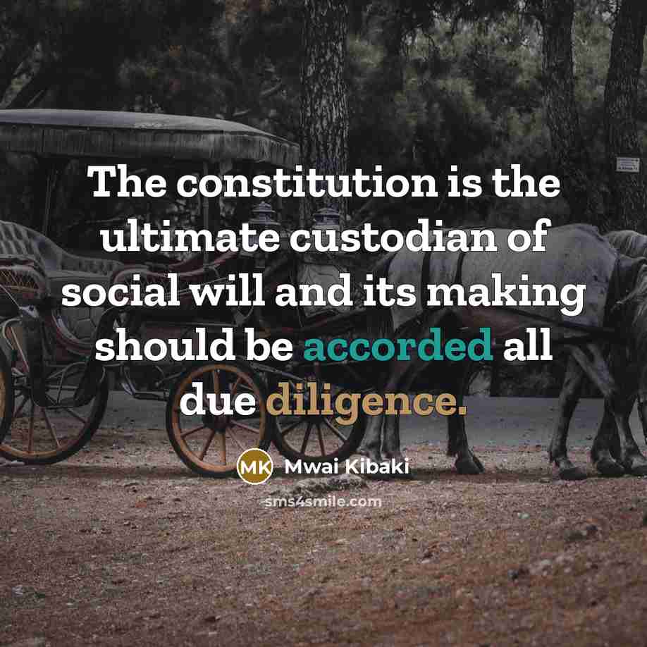 “The constitution is the ultimate custodian of social will and its making should be accorded all due diligence.” quote by Mwai Kibaki