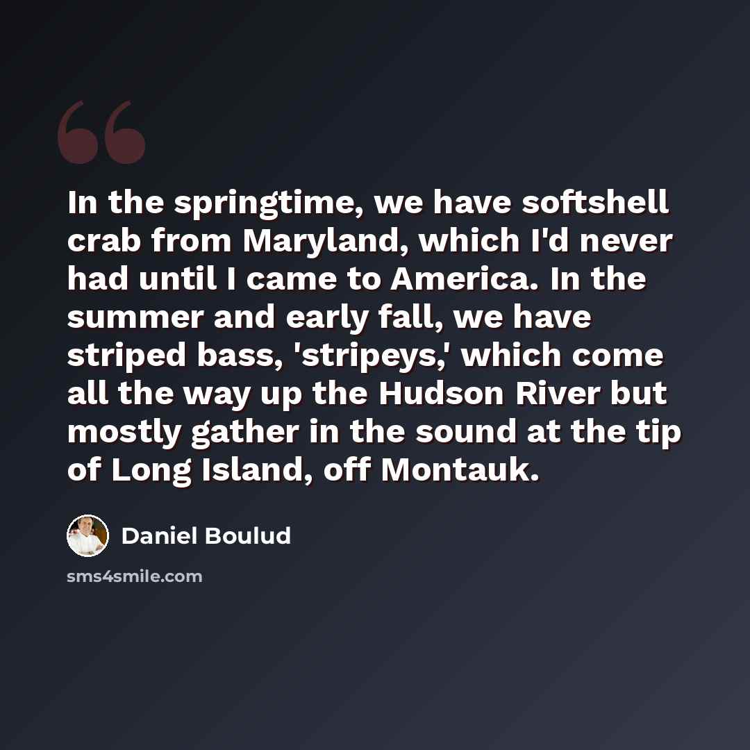 “In the springtime, we have softshell crab from Maryland, which I'd never had until I came to America. In the summer and early fall, we have striped bass, 'stripeys,' which come all the way up the Hudson River but mostly gather in the sound at the tip of Long Island, off Montauk.” quote by Daniel Boulud