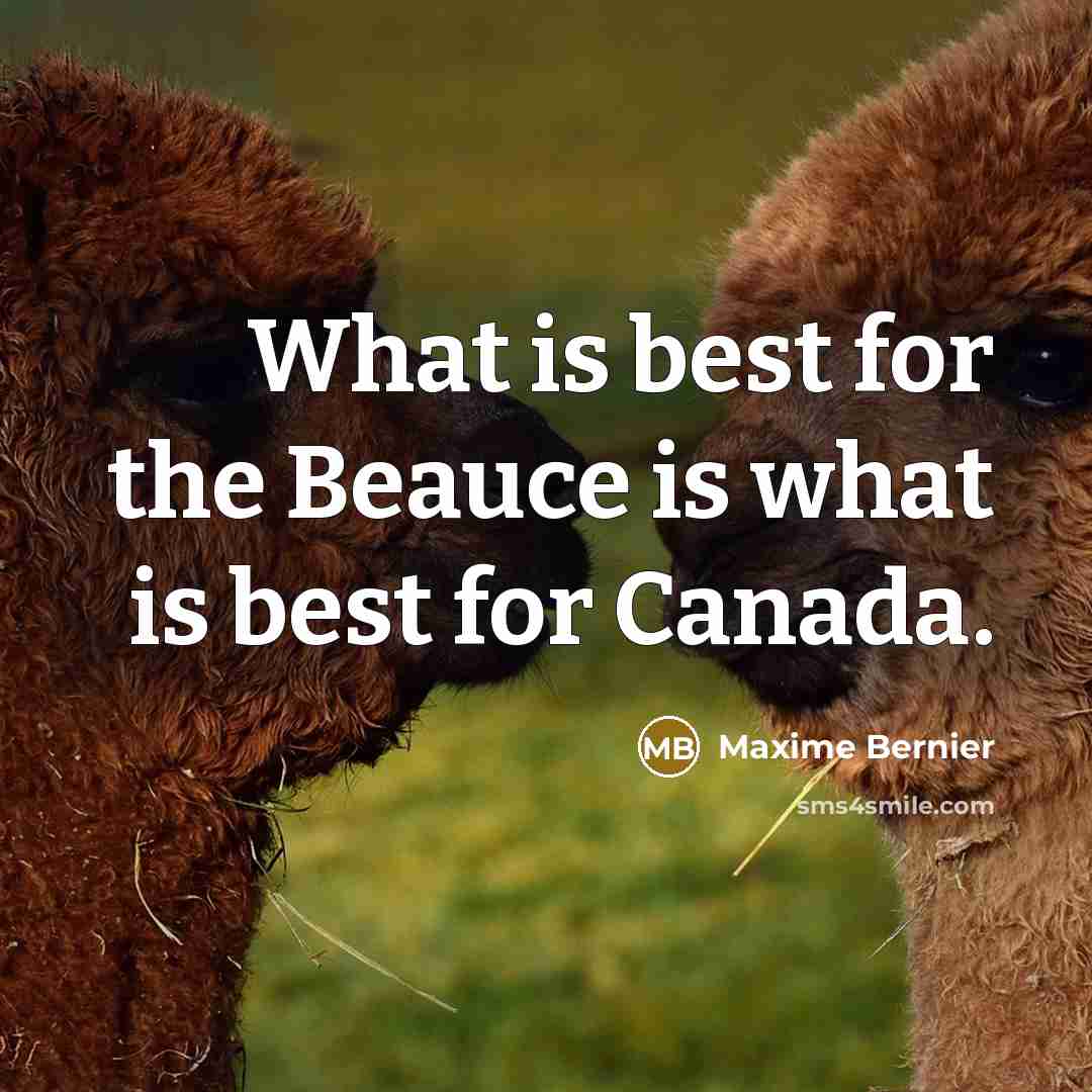 “What is best for the Beauce is what is best for Canada.” quote by Maxime Bernier