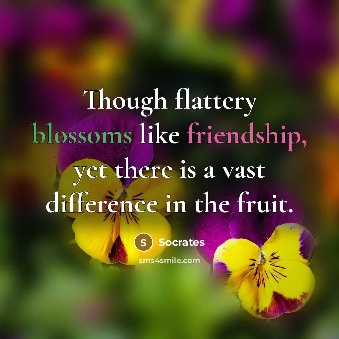 “Though flattery blossoms like friendship, yet there is a vast difference in the fruit.” quote by Socrates