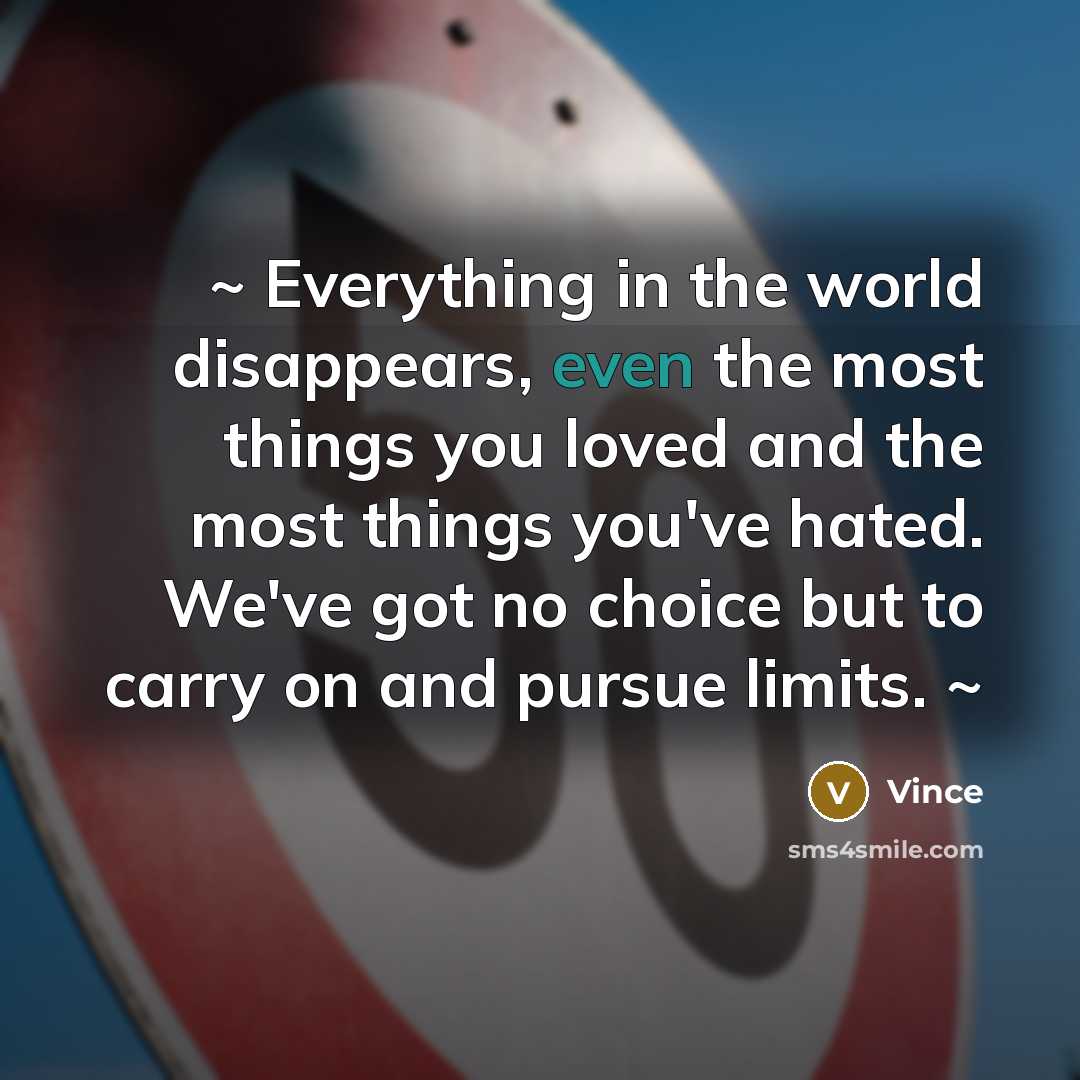 “~ Everything in the world disappears, even the most things you loved and the most things you've hated. We've got no choice but to carry on and pursue limits. ~” quote by Vince