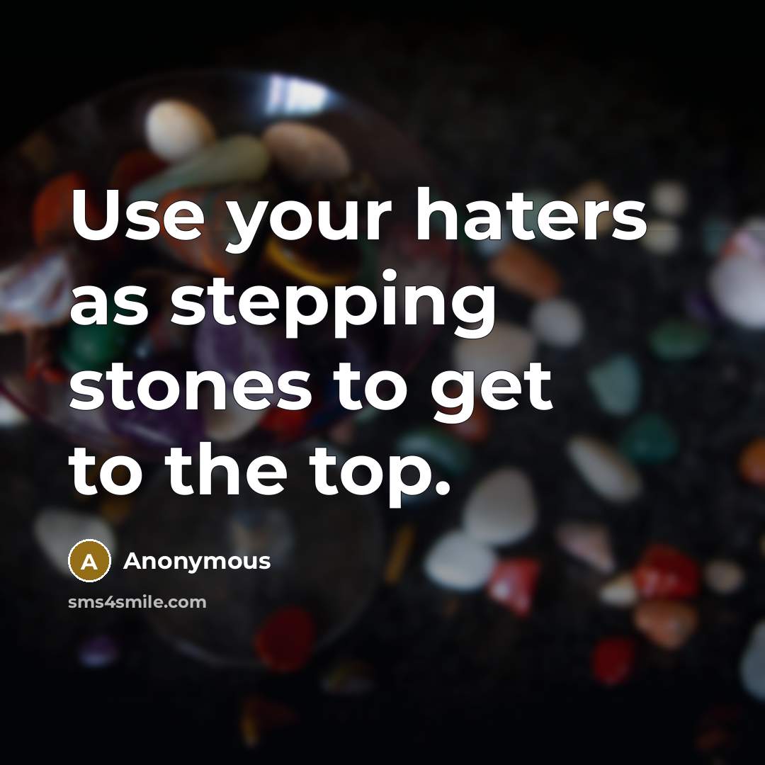 “Use your haters as stepping stones to get to the top.” quote by Anonymous