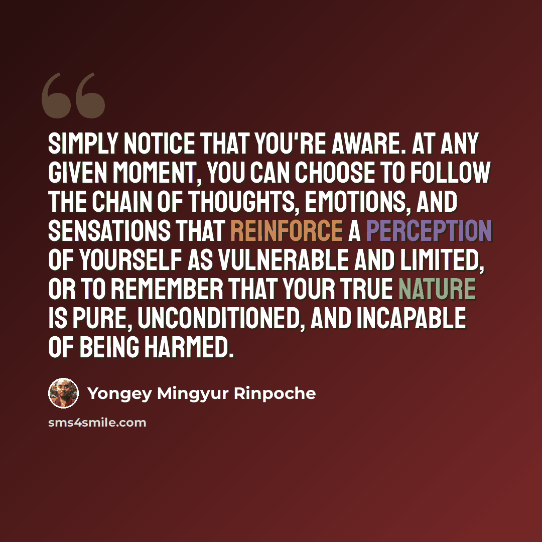 “Simply notice that you're aware. At any given moment, you can choose to follow the chain of thoughts, emotions, and sensations that reinforce a perception of yourself as vulnerable and limited, or to remember that your true nature is pure, unconditioned, and incapable of being harmed.” quote by Yongey Mingyur Rinpoche
