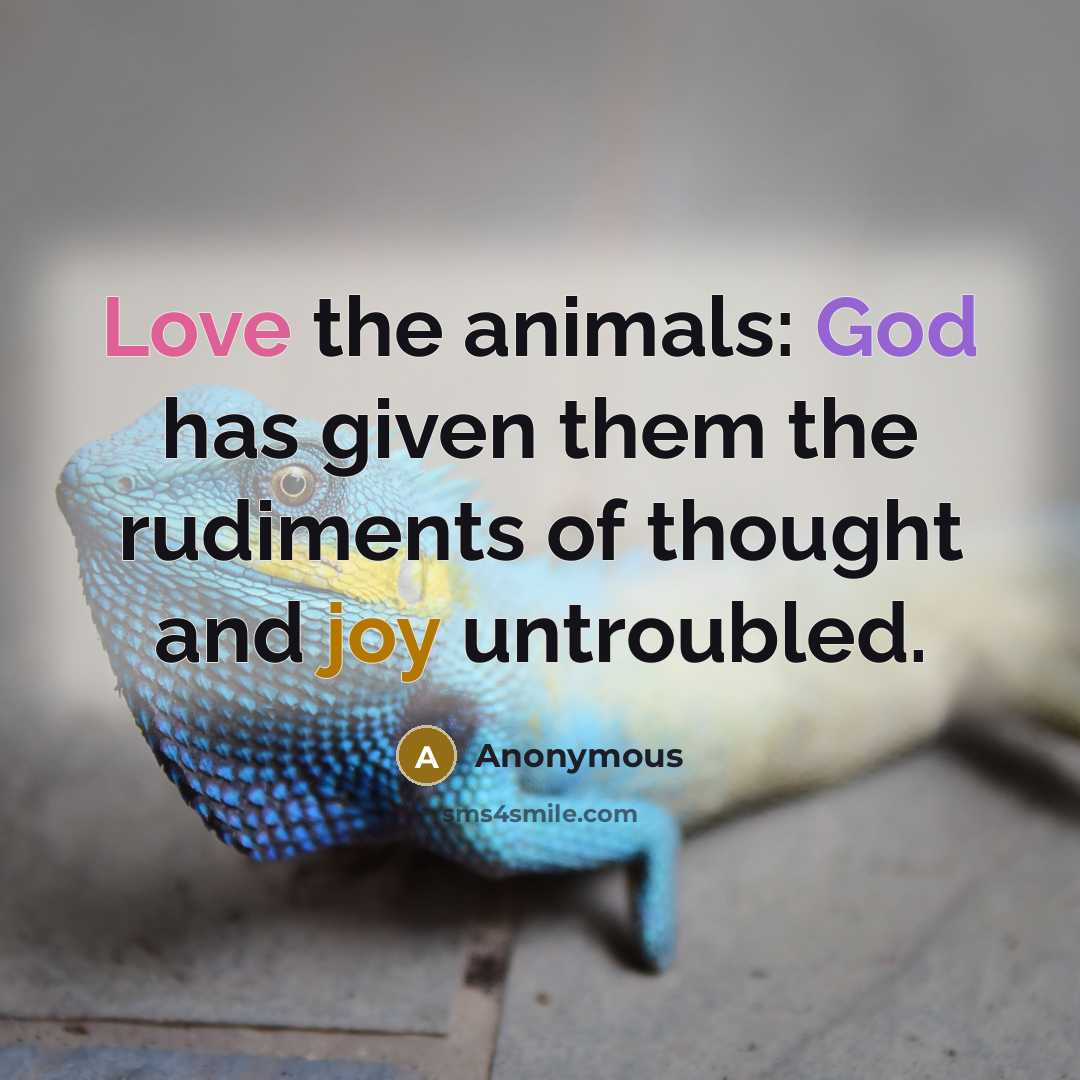 “Love the animals: God has given them the rudiments of thought and joy untroubled.” quote by Anonymous