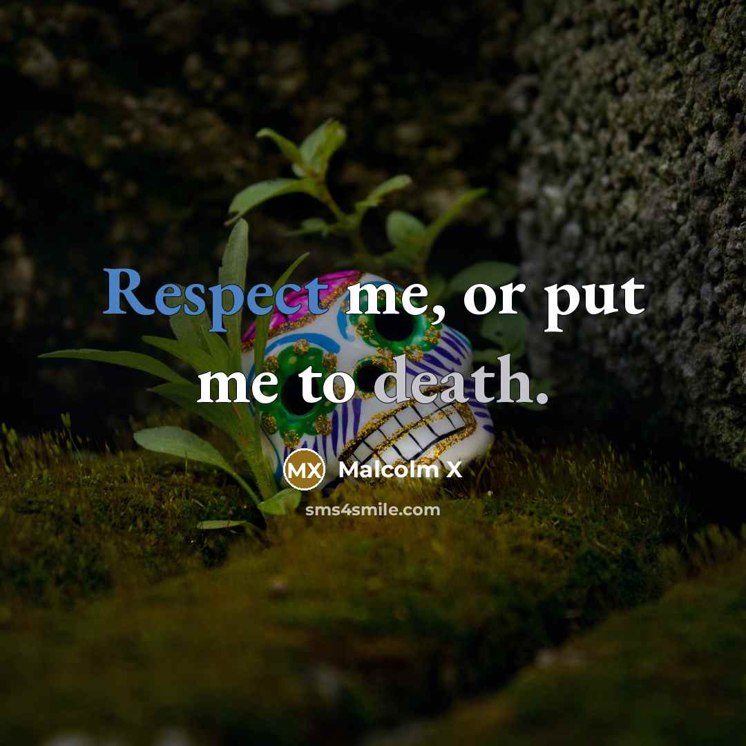 “Respect me, or put me to death.” quote by Malcolm X