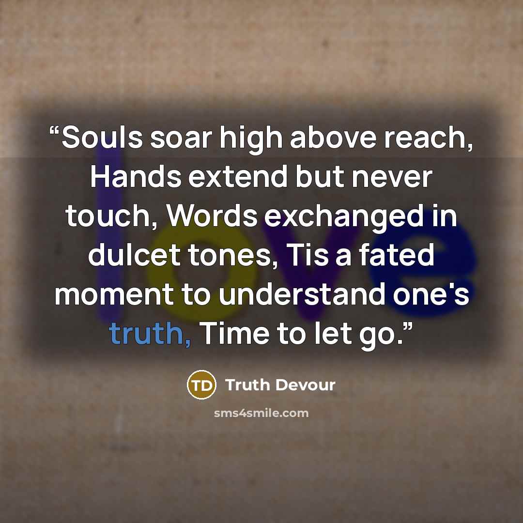 “Souls soar high above reach, Hands extend but never touch, Words exchanged in dulcet tones, Tis a fated moment to understand one's truth, Time to let go.” quote by Truth Devour
