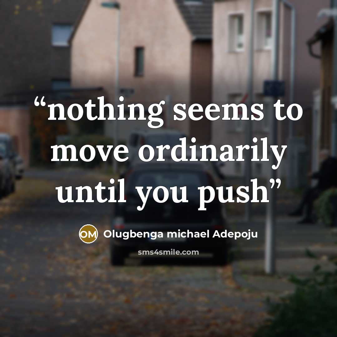“nothing seems to move ordinarily until you push” quote by Olugbenga michael adepoju
