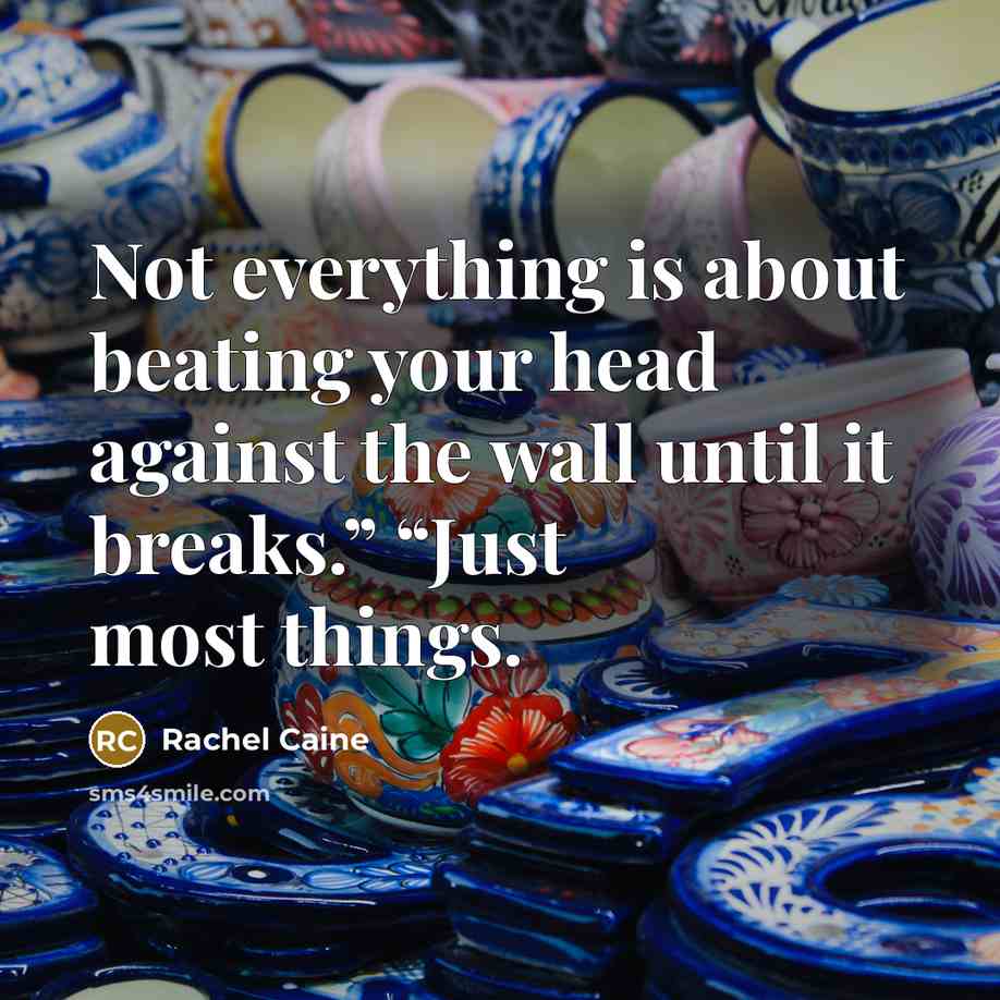 “Not everything is about beating your head against the wall until it breaks.” “Just most things.” quote by Rachel Caine