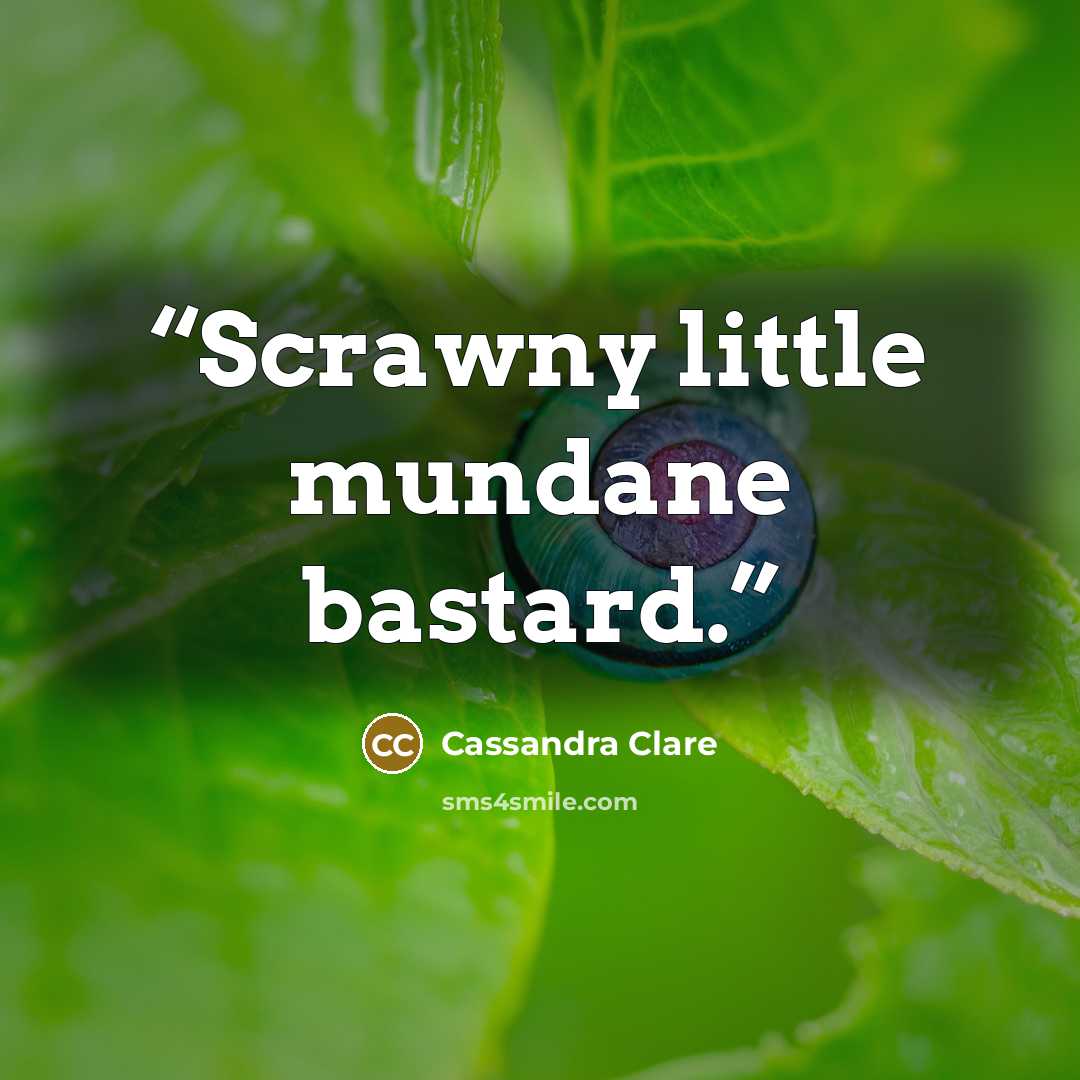 “Scrawny little mundane bastard.” quote by Cassandra Clare