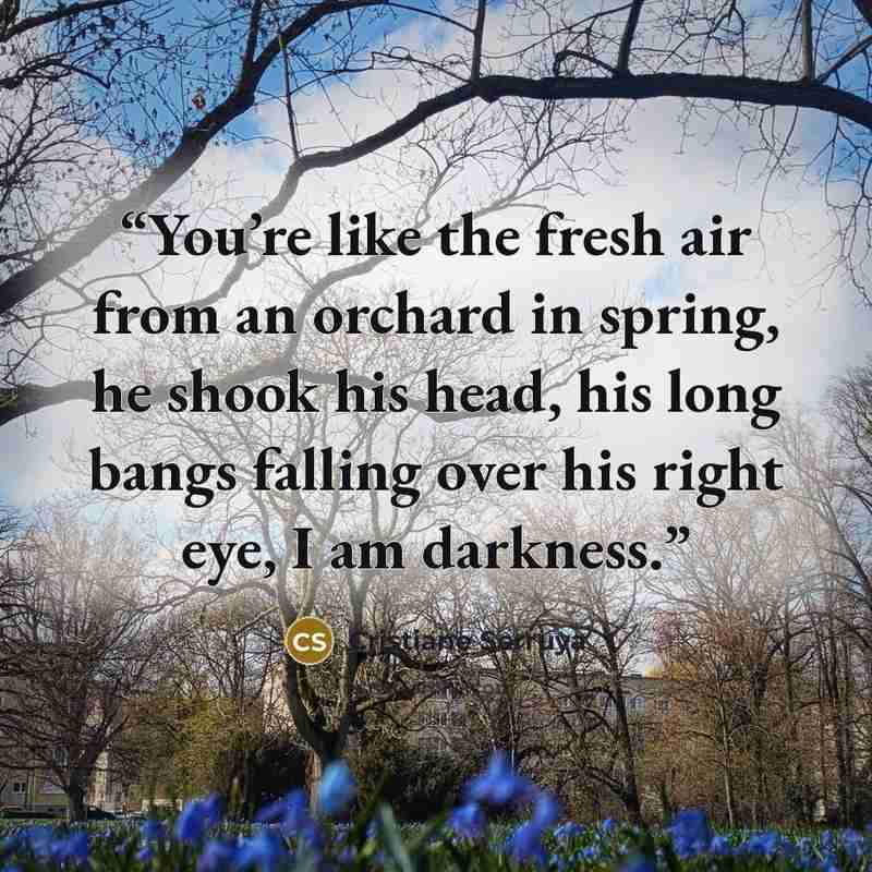 “You’re like the fresh air from an orchard in spring, he shook his head, his long bangs falling over his right eye, I am darkness.” quote by Cristiane Serruya