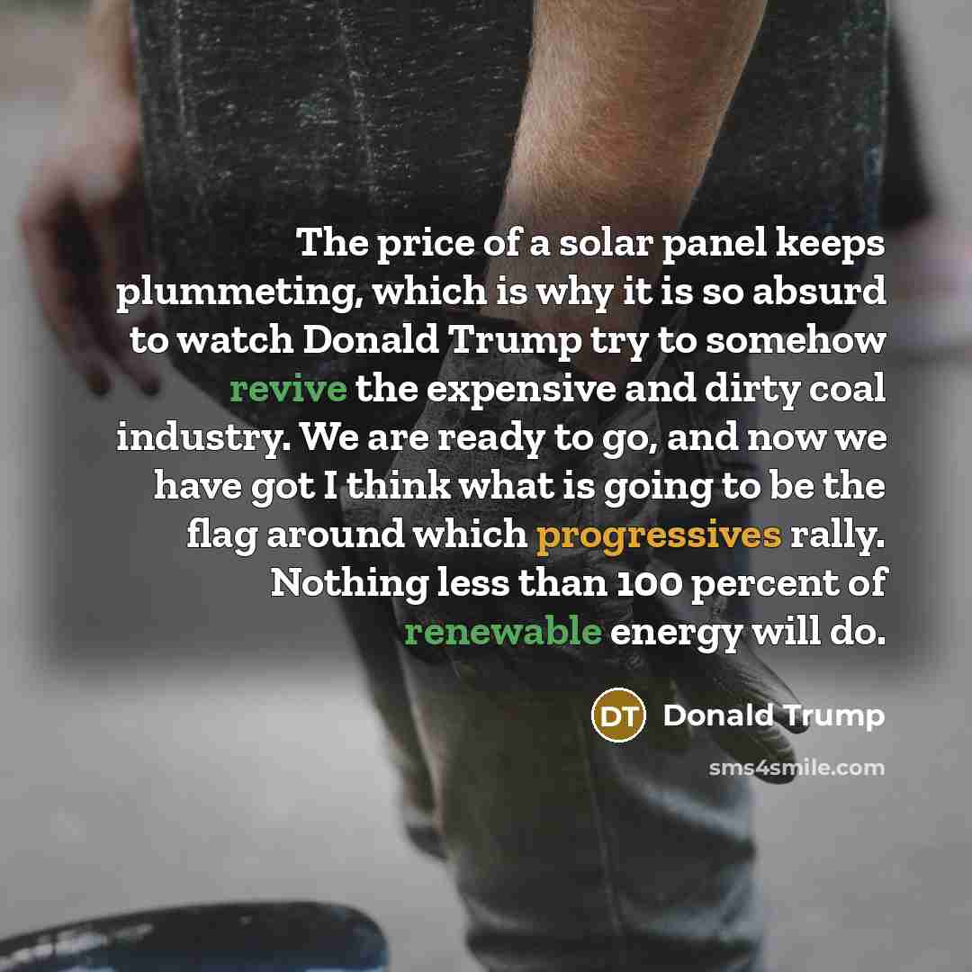 “The price of a solar panel keeps plummeting, which is why it is so absurd to watch Donald Trump try to somehow revive the expensive and dirty coal industry. We are ready to go, and now we have got I think what is going to be the flag around which progressives rally. Nothing less than 100 percent…” quote by Donald Trump
