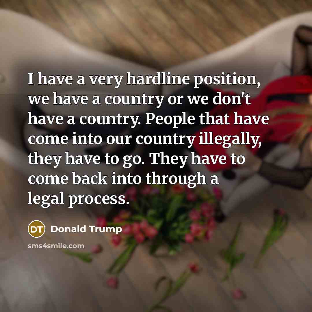 “I have a very hardline position, we have a country or we don't have a country. People that have come into our country illegally, they have to go. They have to come back into through a legal process.” quote by Donald Trump
