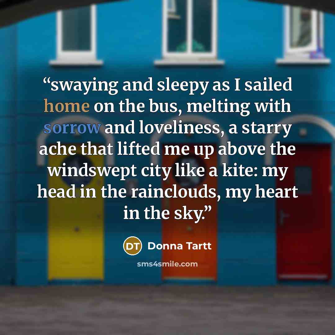 “swaying and sleepy as I sailed home on the bus, melting with sorrow and loveliness, a starry ache that lifted me up above the windswept city like a kite: my head in the rainclouds, my heart in the sky.” quote by Donna Tartt