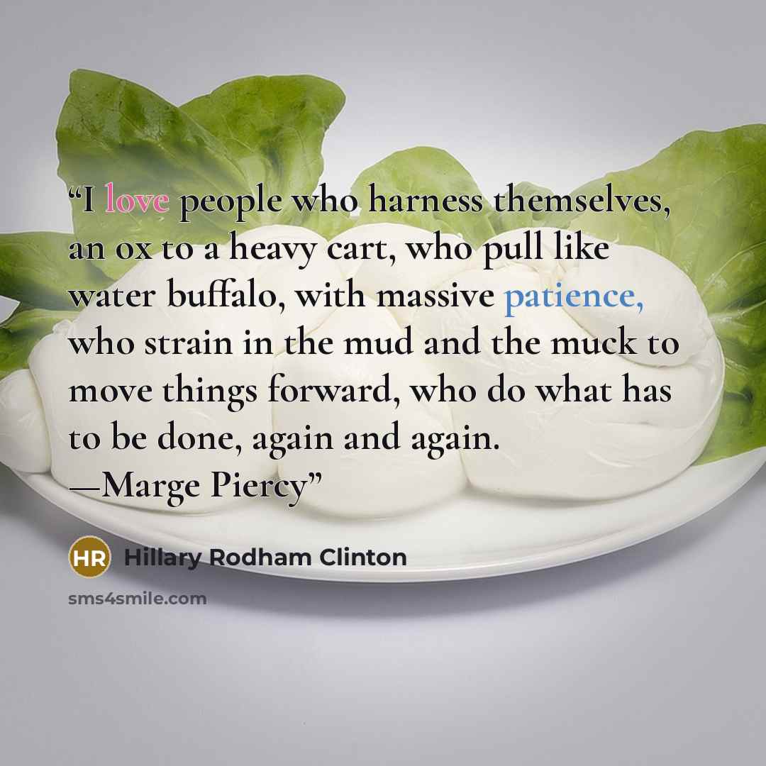 “I love people who harness themselves, an ox to a heavy cart, who pull like water buffalo, with massive patience, who strain in the mud and the muck to move things forward, who do what has to be done, again and again. —Marge Piercy” quote by Hillary Rodham Clinton