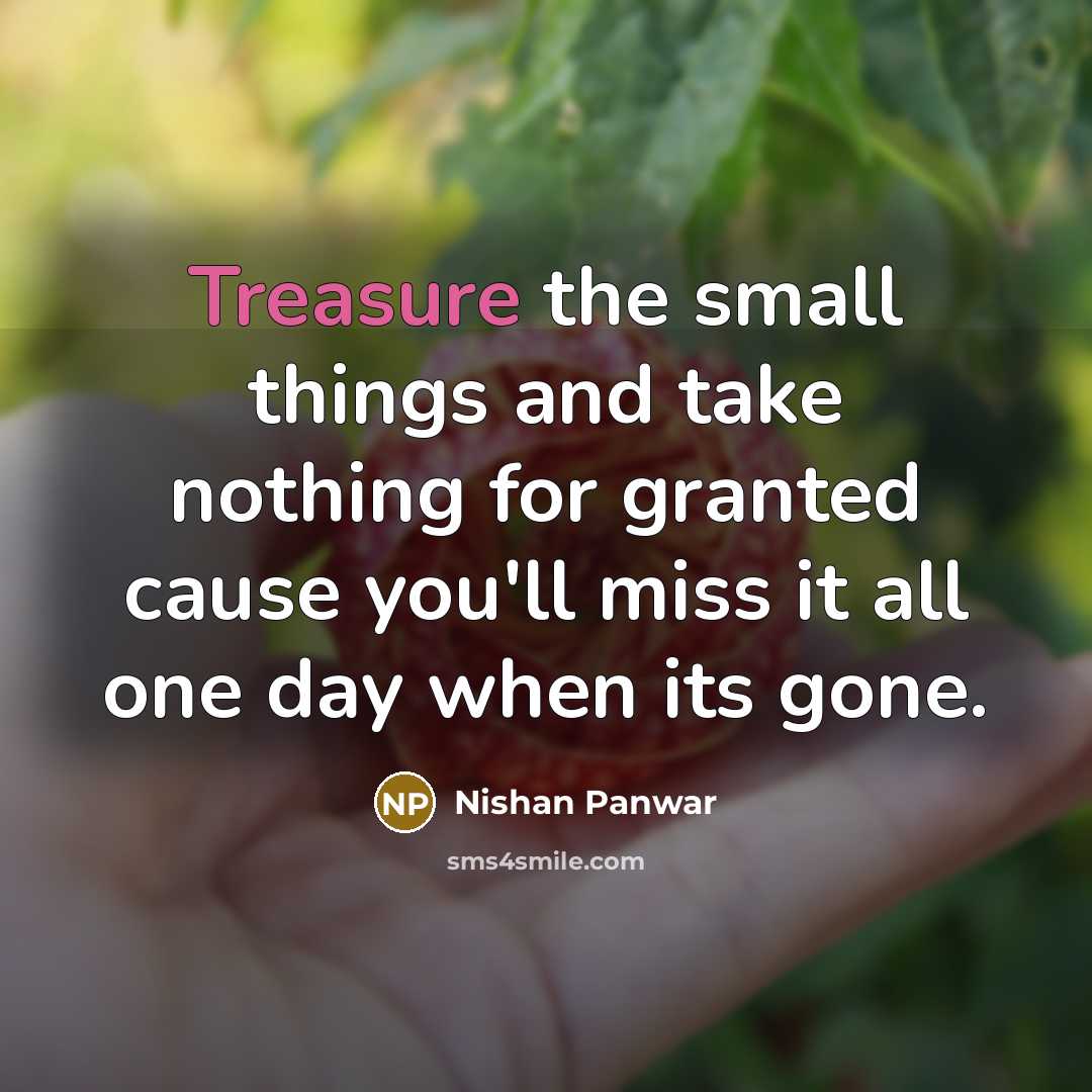 “Treasure the small things and take nothing for granted cause you'll miss it all one day when its gone.” quote by Nishan Panwar