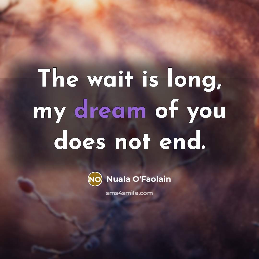 “The wait is long, my dream of you does not end.” quote by Nuala O'Faolain