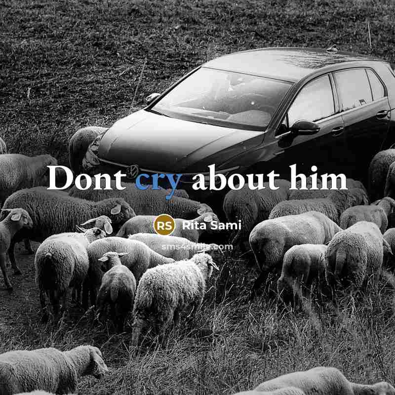 “Dont cry about him” quote by Rita Sami