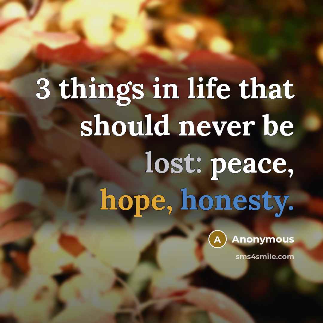 “3 things in life that should never be lost: peace, hope, honesty.” quote by Anonymous